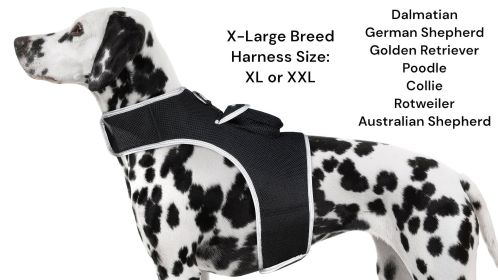 Android iPhone Compatible Cat Dog GPS Collar GSM MIni Tracking Device Size:S