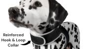 Android iPhone Compatible Cat Dog GPS Collar GSM MIni Tracking Device Size:S